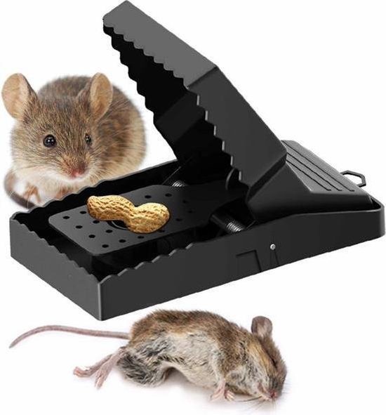 Piège à souris - Piège à rat - 6 pièces - Ressort Extra fort - Durable -  Réutilisable