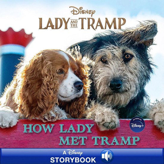 Foto: Lady and the tramp how lady met tramp