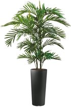 HTT - Kunstplant Areca palm in Clou rond antraciet H185 cm