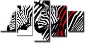 Schilderij - Zebra, Zwart-Wit/Rood, 160X80cm, 5luik
