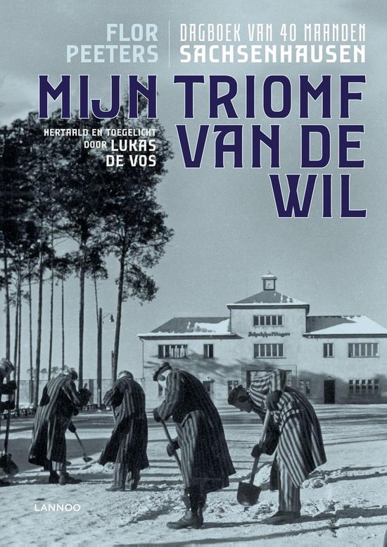 Mijn triomf van de wil - cover