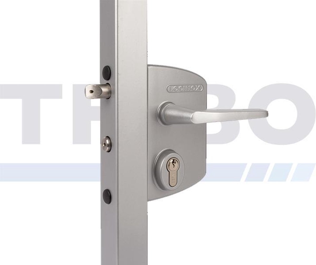 Industrieel opbouw poortslot - Poortprofiel / Regelbaarheid: Vierkant / 40 tot 60 mm, Kleur (RAL): 9010 (zuiver wit)