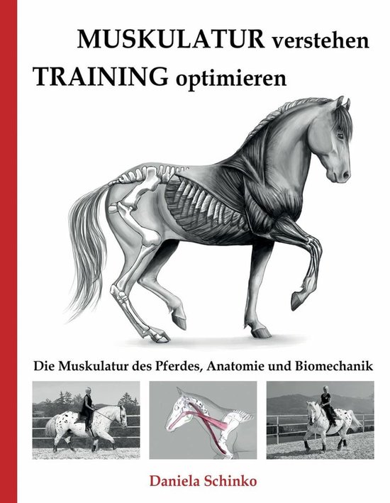 Muskulatur verstehen - Training optimieren - cover