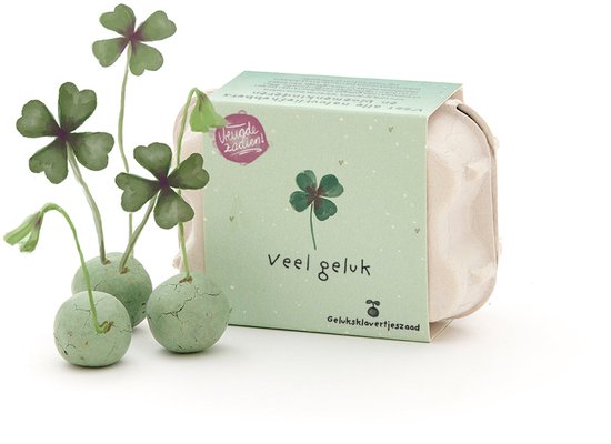 Die Stadtgärtner - 6 kleurrijke bloemknikkers - Gelukszaadjes - Origineel cadeau - Groene klaver - Duurzaam en decoratief