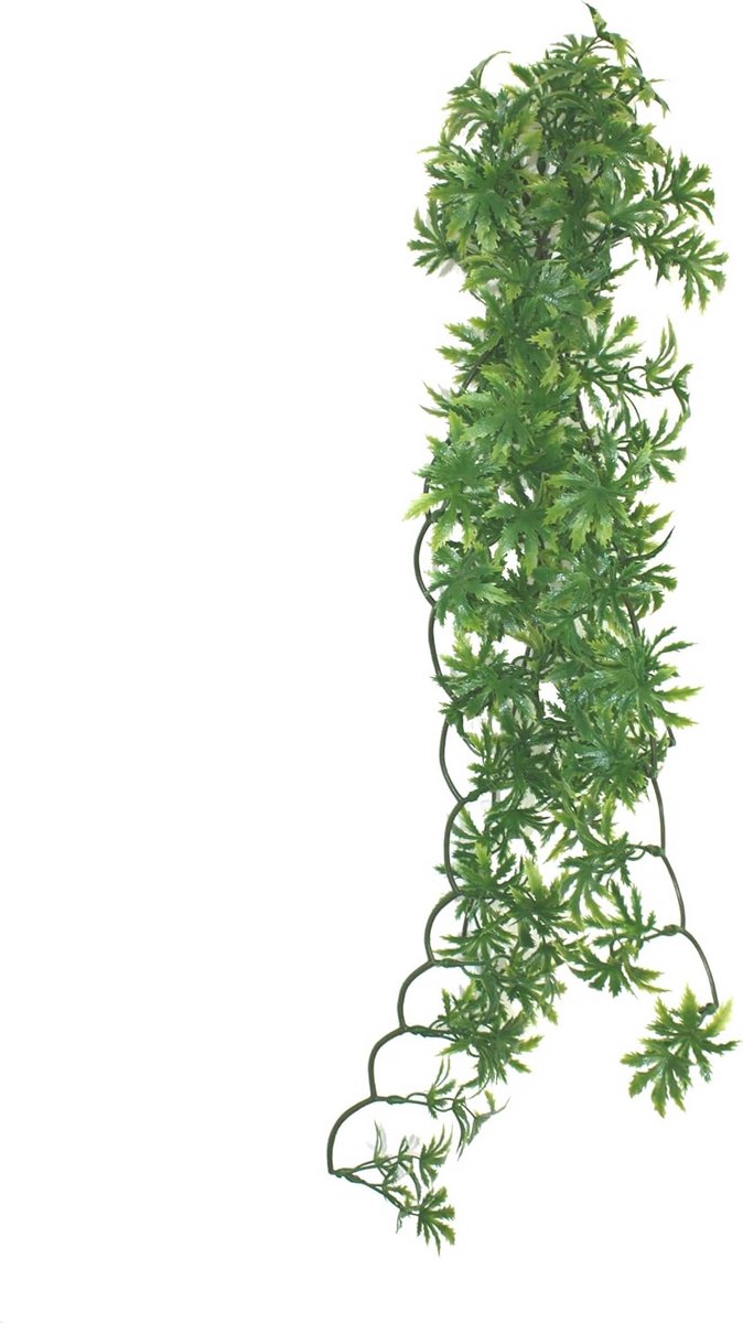 Decoratieve Klimplant voor Reptiel Terrarium - Papaya Wijn