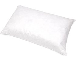 Luxe Donskussen 45x70 cm - 100% Zachte Eendenveren