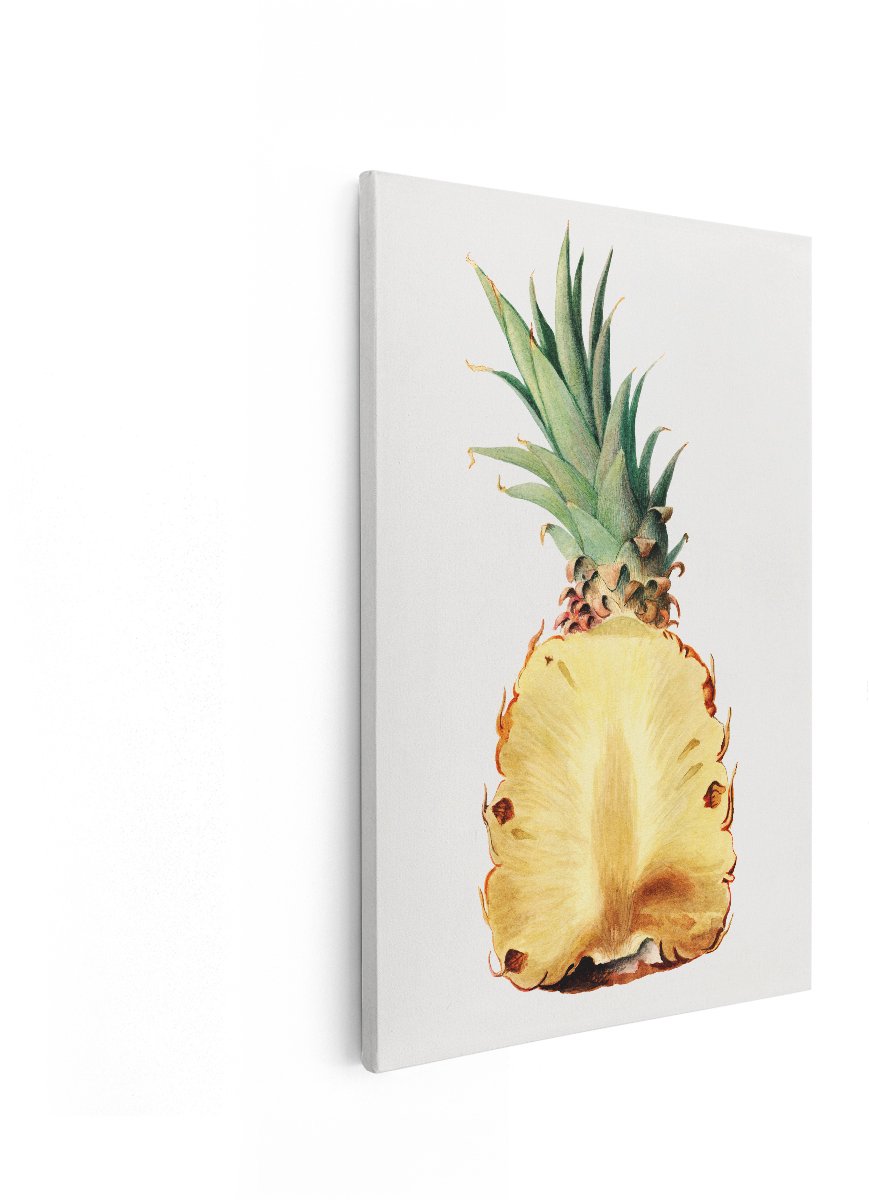 Artaza Canvas Schilderij Ananas - 60x90 cm - Wanddecoratie Botanisch - Muurdecoratie Vintage - Decoratie Fruit - Schilderijen Op Canvas