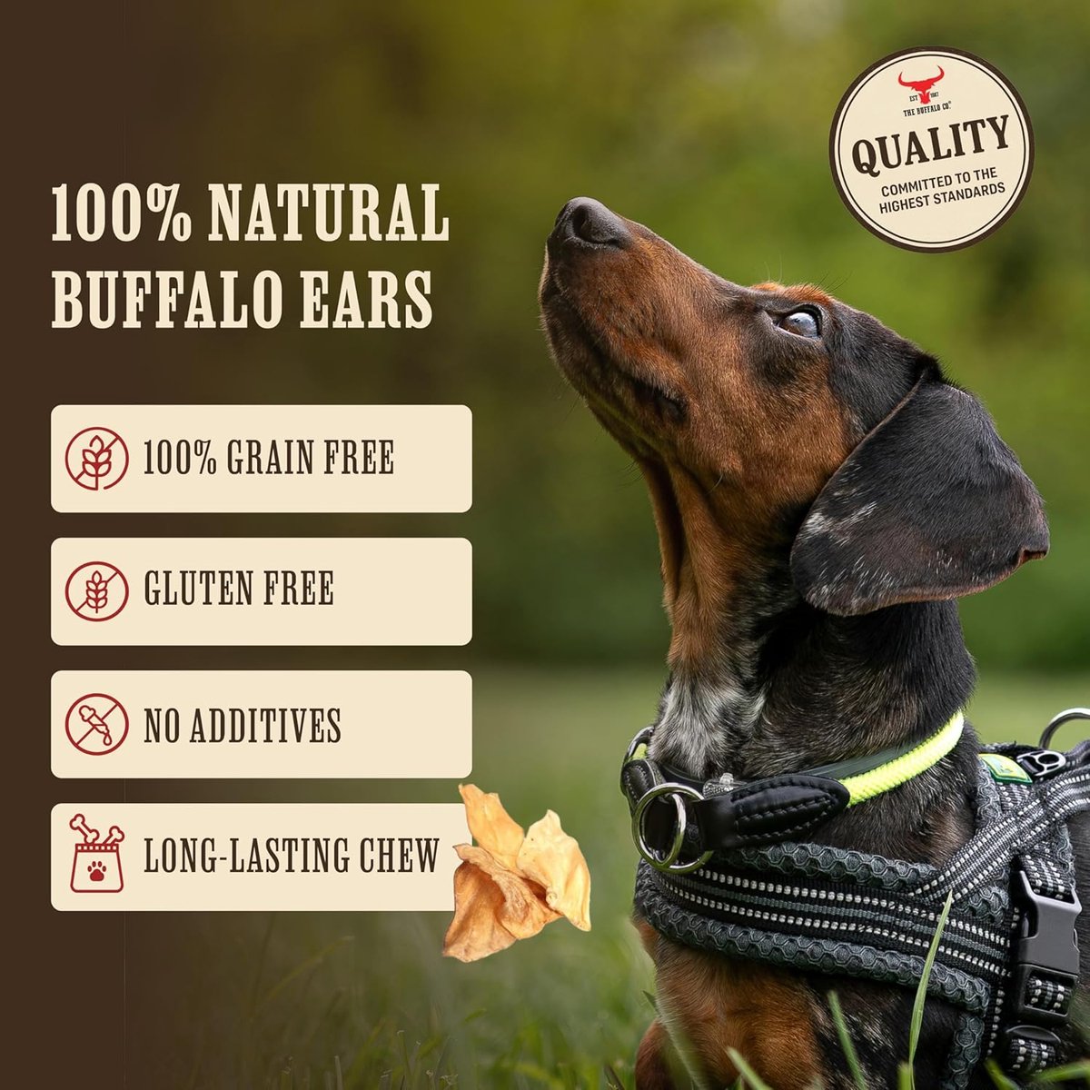 Honden Oor Snacks - Natuurlijke Kauwsnacks - Gezonde Beloning - Langdurig Kauwplezier - 5 Inch Plus