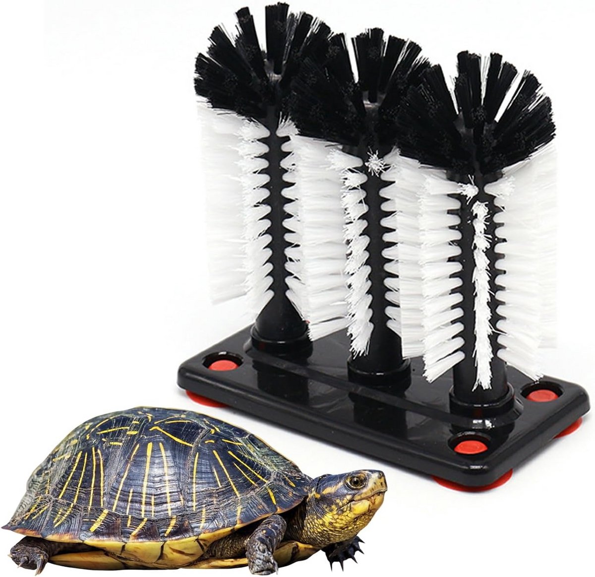 Schildpadborstel met zuignap en 3 verwisselbare opzetstukken voor een schone tank