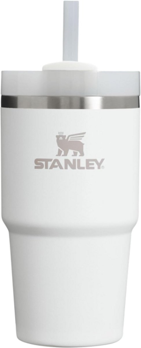Stanley Quencher H2.0 Tumbler met Rietje 20oz | 3-standen deksel | 8–10 uur koud & 30–38 uur ijskoud | Vaatwasmachinebestendig | Ideaal voor onderweg | Frost