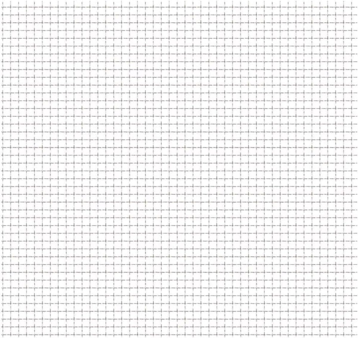 Roestvrijstalen Gaaspaneel 100x85 cm voor Hekken en Omheiningen