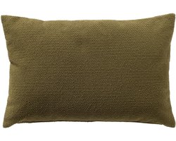 Dutch Decor - JULIO - buitenkussen 40x60 cm - waterafstotend en uv-bestendig - Mayfly - groen