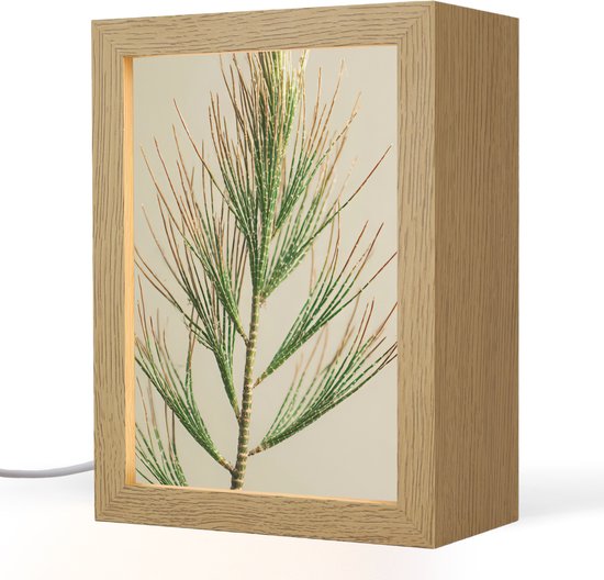 Tafellamp 15x20 cm - LED lamp - Dennentak - Naaldvormige bladeren - Lichtgroen -...