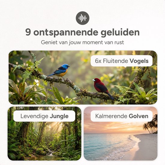 Illustratie met 3 afbeeldingen: 2 vogels op een tak, een jungle, en een strand bij zonsondergang. Tekst: '9 ontspannende geluiden'.