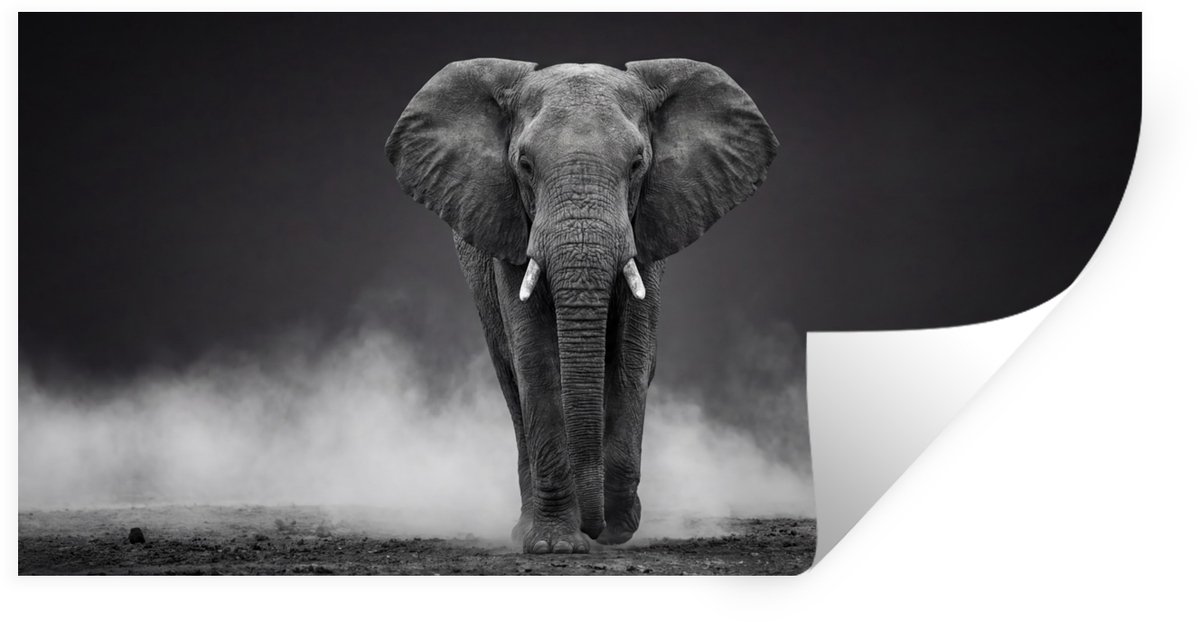 Muurstickers - Sticker Folie - Olifant - Zwart - Wit - Rook - 160x80 cm - Plakfolie - Muur