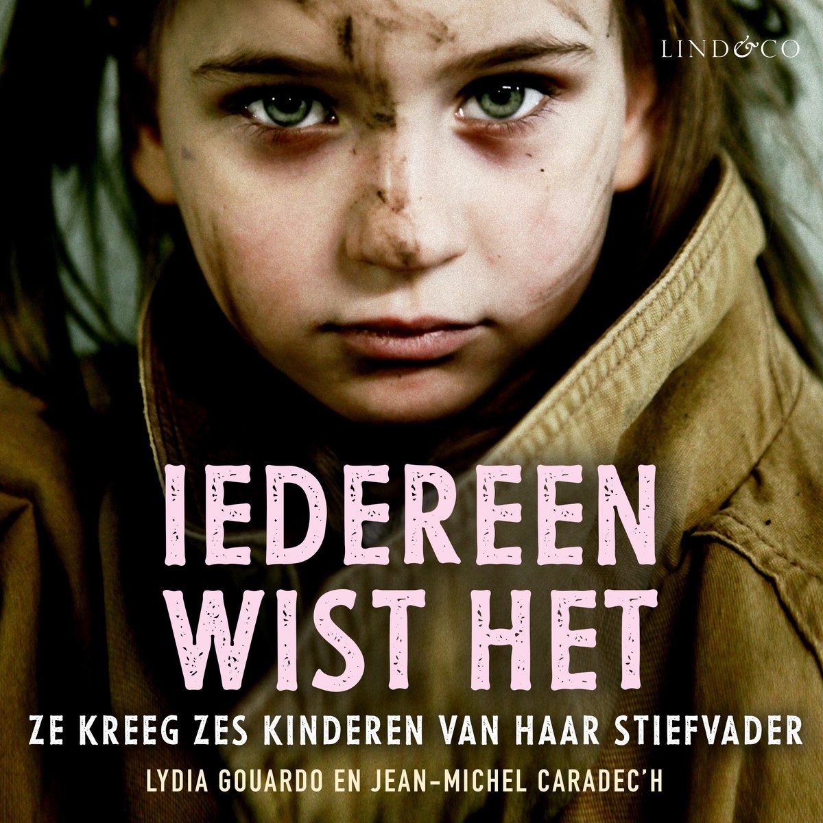 Omslag van Iedereen wist het