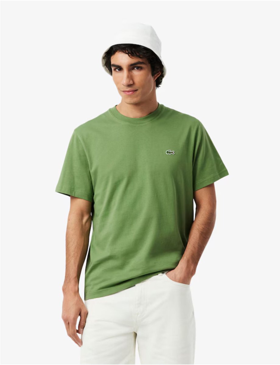 Lacoste T-Shirt – Heren Casual T-shirts Groen