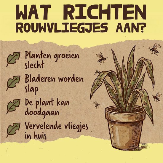 Illustratie van een zieke plant met rouwvliegjes. Symptomen: slechte groei, slappe bladeren, plant kan doodgaan, vliegjes in huis.