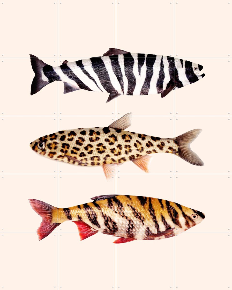 IXXI Fish Prints, Paul Fuentes - 80 x 100 cm - Gratis ophangtool - Grote wanddecoratie en posters - Illustraties, Grafisch Ontwerp, Speels, Houtsnede