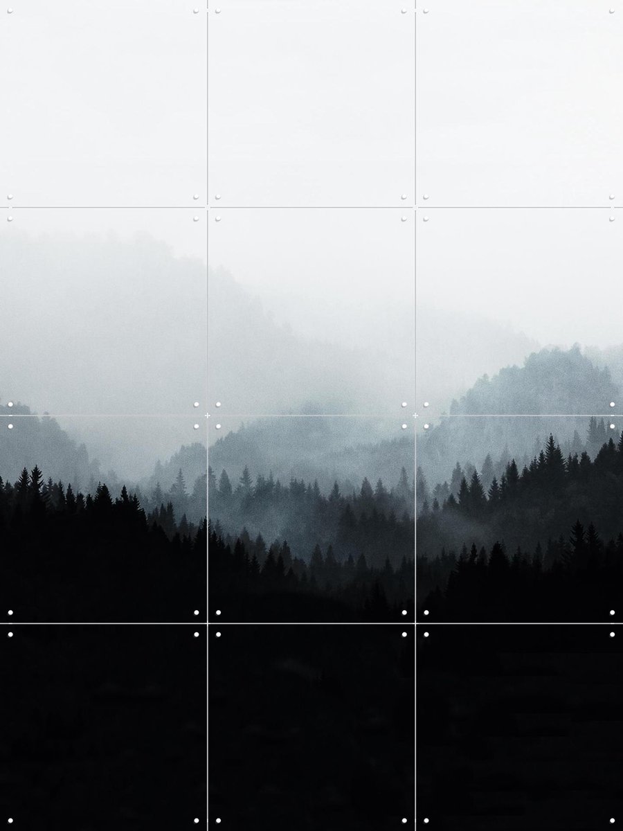 IXXI Woods 5Y, Mareike Böhmer - 60 x 80 cm - Gratis ophangtool - Grote wanddecoratie en posters - Fotografie, Minimalisme, Slaapkamer, Woonkamer