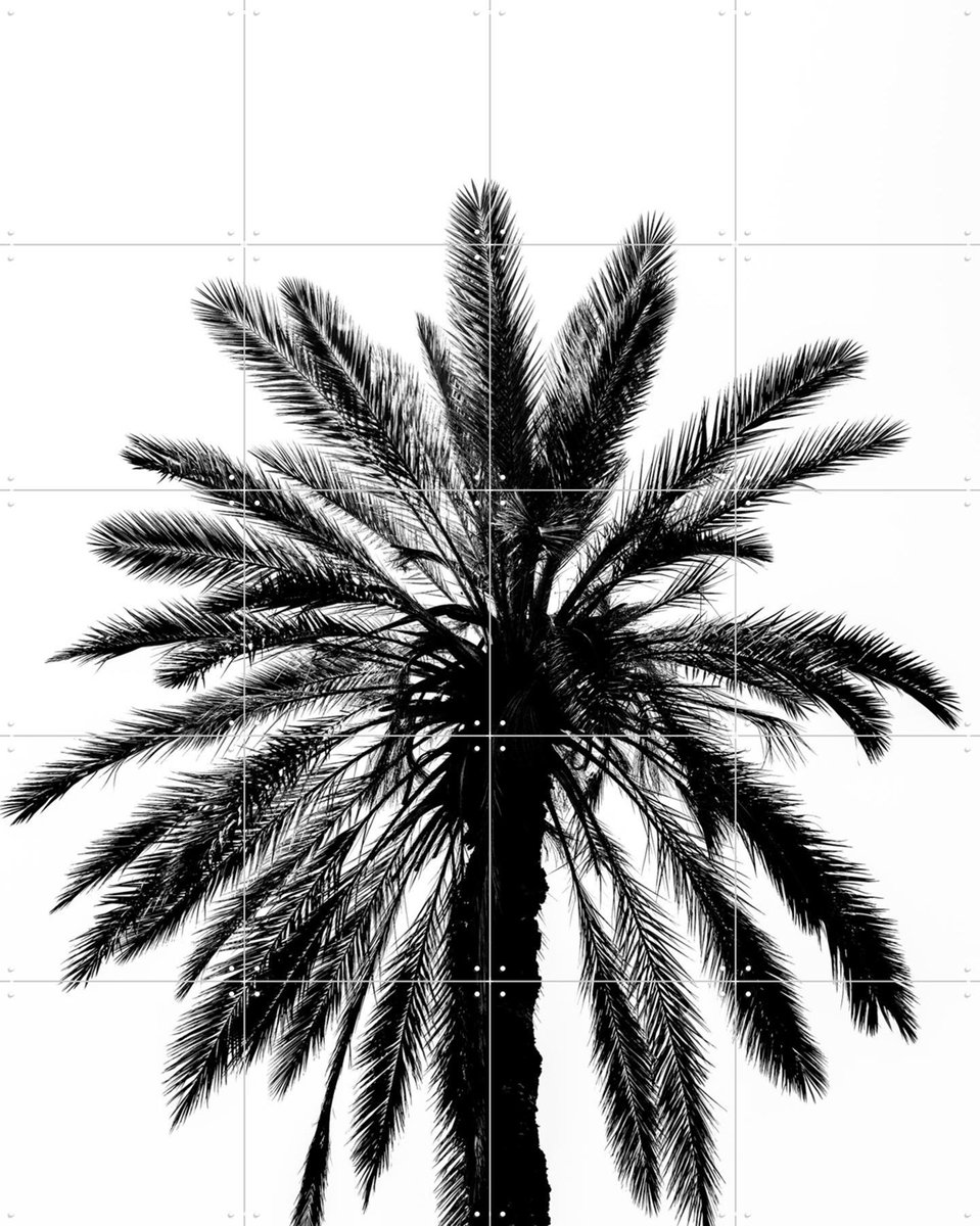 IXXI Palm in Palermo, Photolovers - 80 x 100 cm - Gratis ophangtool - Grote wanddecoratie en posters - Minimalisme, Fotografie, Woonkamer, Slaapkamer