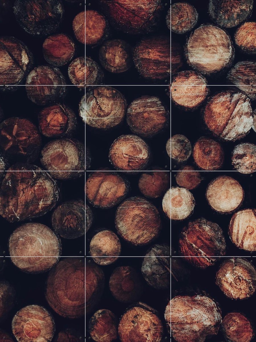 IXXI Stacked Timer Wood Logs, Ingrid Beddoes - 60 x 80 cm - Gratis ophangtool - Grote wanddecoratie en posters - Fotografie, Woonkamer, Slaapkamer