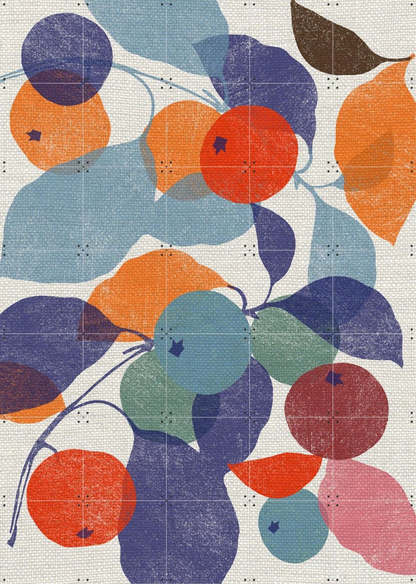 IXXI Printed Apples, Jenny Frean & Bridgeman Images - 100 x 140 cm - Gratis ophangtool - Grote wanddecoratie en posters - Geometrische Kunst, Art