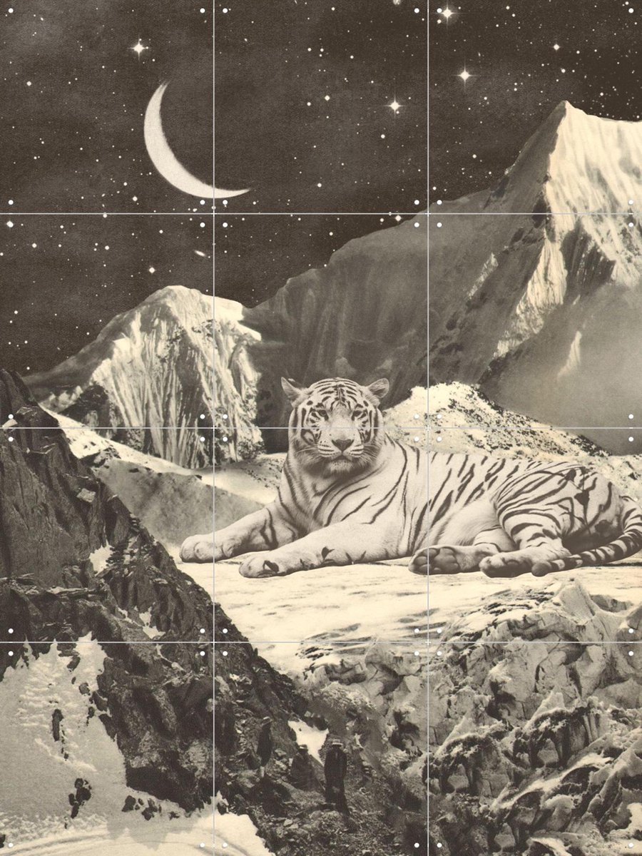 IXXI Giant White Tiger, Florent Bodart - 60 x 80 cm - Gratis ophangtool - Grote wanddecoratie en posters - Illustraties, Surrealisme, Vintage