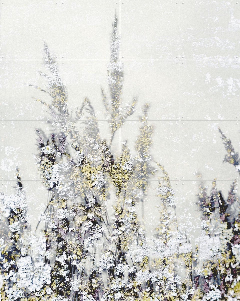IXXI Winter Reed, Photolovers - 80 x 100 cm - Gratis ophangtool - Grote wanddecoratie en posters - Naturalisme, Minimalisme, Aquarel, Fotografie