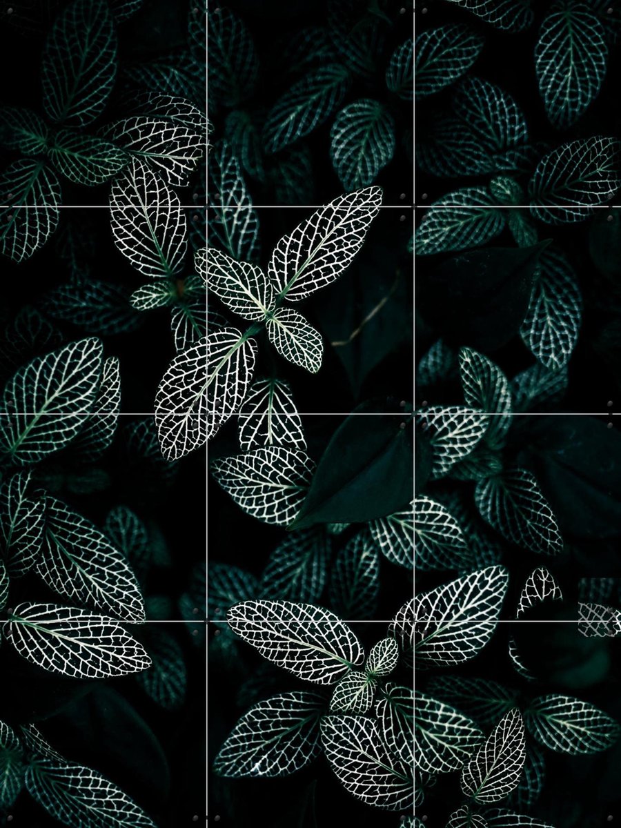 IXXI Dark Leaves, Mareike Böhmer - 60 x 80 cm - Gratis ophangtool - Grote wanddecoratie en posters - Fotografie, Naturalisme, Slaapkamer, Woonkamer