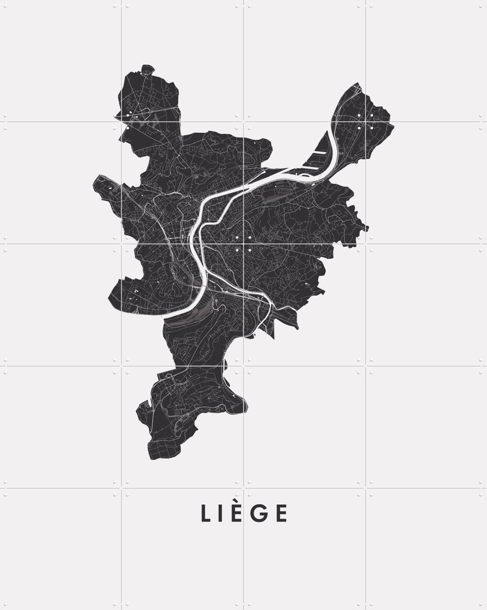 IXXI Liège City Map, Kunst in Kaart - 80 x 100 cm - Gratis ophangtool - Grote wanddecoratie en posters - Technische Tekening, Grafisch Ontwerp, Line