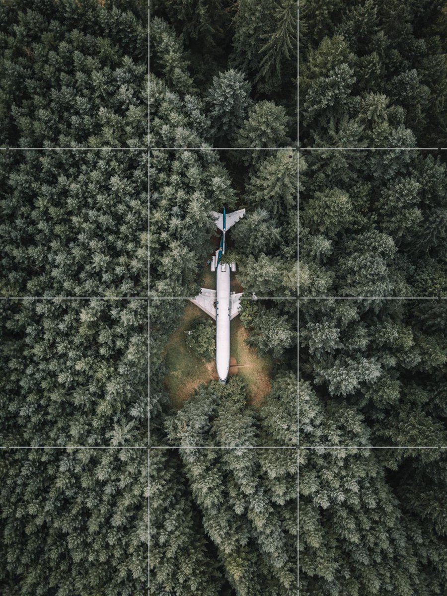 IXXI Airplane Home, Tristan Zhou - 60 x 80 cm - Gratis ophangtool - Grote wanddecoratie en posters - Fotografie, Woonkamer, Mancave, Bomen, Natuur