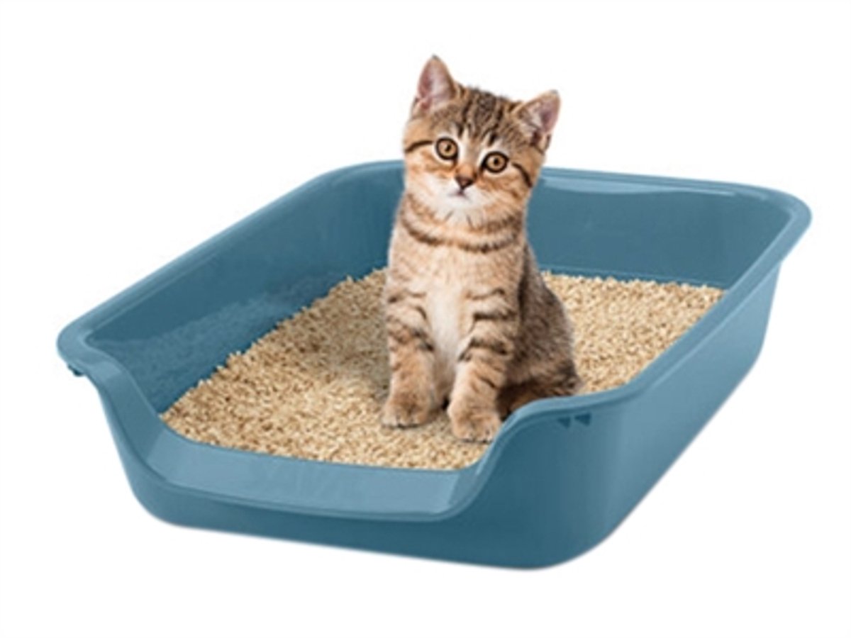 Savic Junior Kattenbak Blauw thumbnail 3