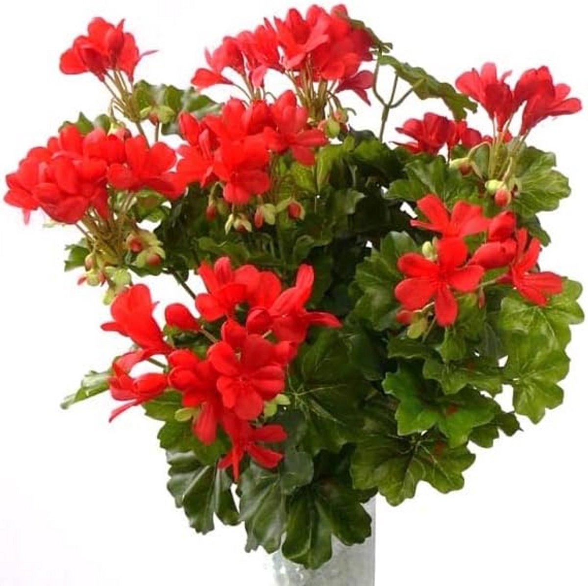 Kunst Geranium Rood - 116 Bloemen in Bos - 40 cm Hoog - Realistisch Nep Bloemenboeket