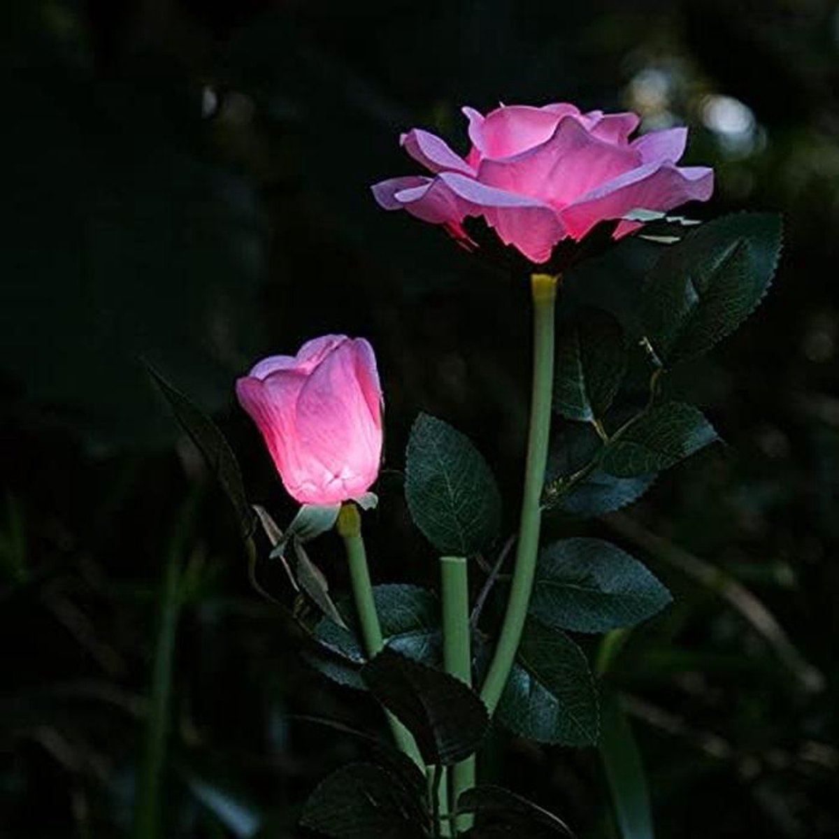 Roze Rozen Tuinverlichting op Zonne-energie - Waterdichte Decoratieve Buitenlampen