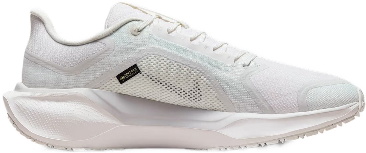 AIR ZM PEGASUS 41 GTX FQ1356-101 NIKE Air Zoom Pegasus 41 GTX Herensneakers Heren Veelkleurig