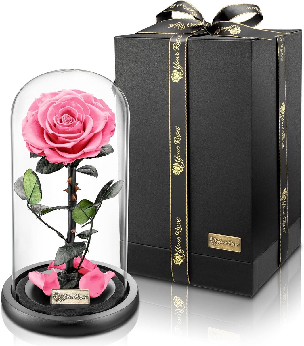 Echte Premium Roos in Glazen Koepel - Cadeau met Lange Houdbaarheid voor Liefde en Decoratie