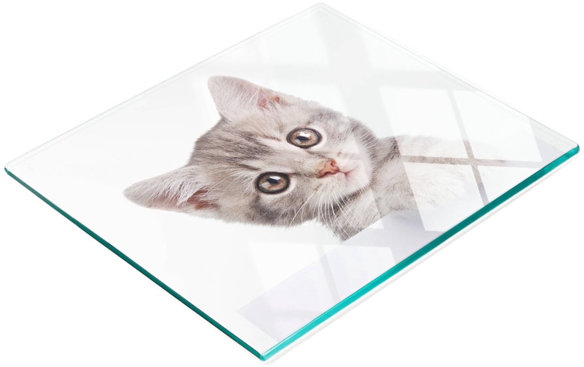 Keukenplank van gehard glas met decoratieve afbeelding van een grijze kat, 60x52 cm