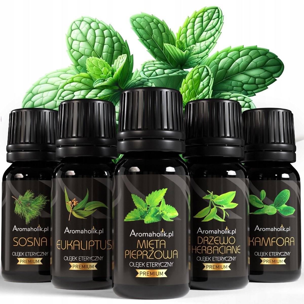 Aromaholik - Zestaw Gezondheid Plus - 5 Etherische Olie - Natuurlijke Ingrediënten - Hoge Concentratie