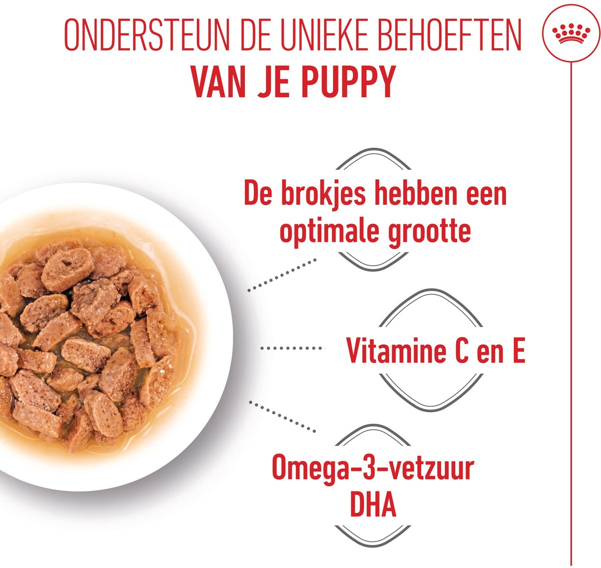 Royal Canin Mini Puppy Wet - 36 x 85 g thumbnail 2