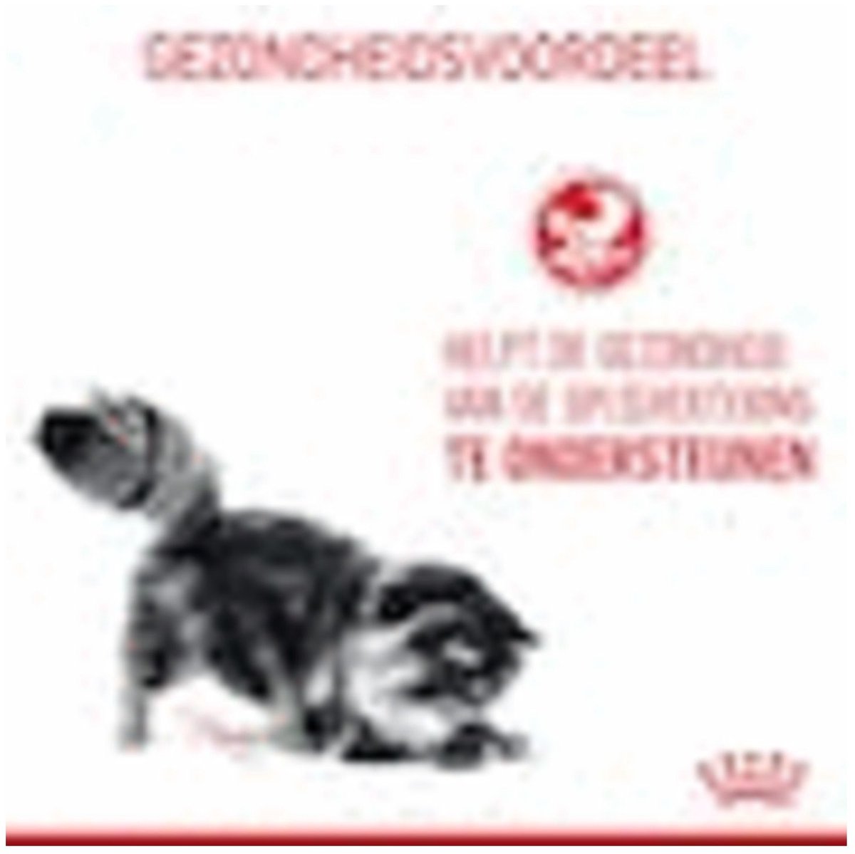 Royal Canin Digestive Care - 2 kg - Kattenvoer thumbnail 6