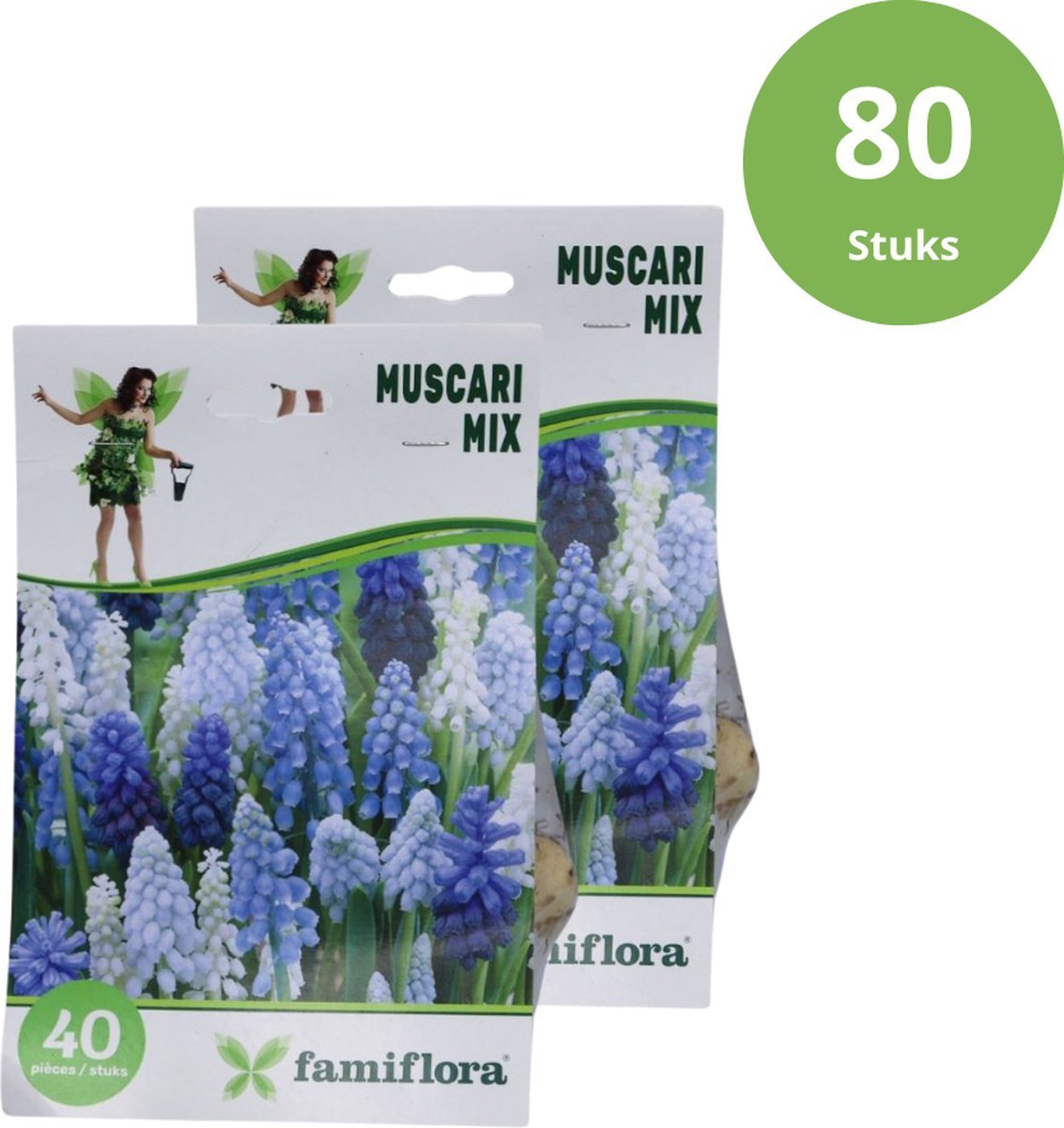 Famiflora Muscari mix 6/7 - 2 x 40 - 80 bloembollen - Brengt overvloedige kleuren voor een vrolijk en optimistisch tuingevoel - Vroege bloei geeft je tuin een frisse start elk voorjaar
