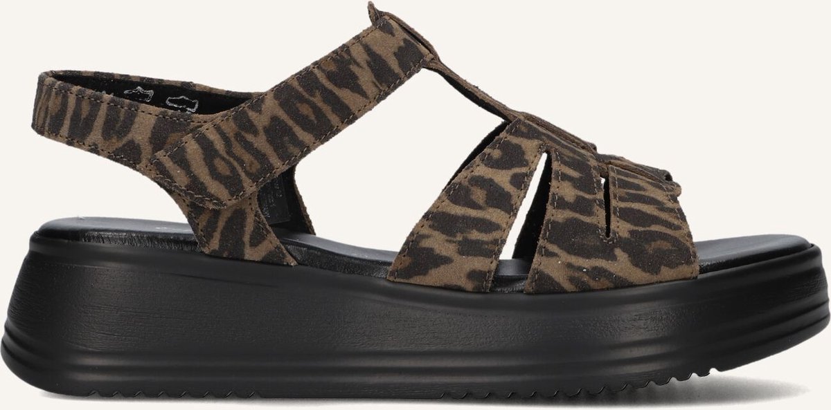 Gabor 742 Sandalen Dames Bruin