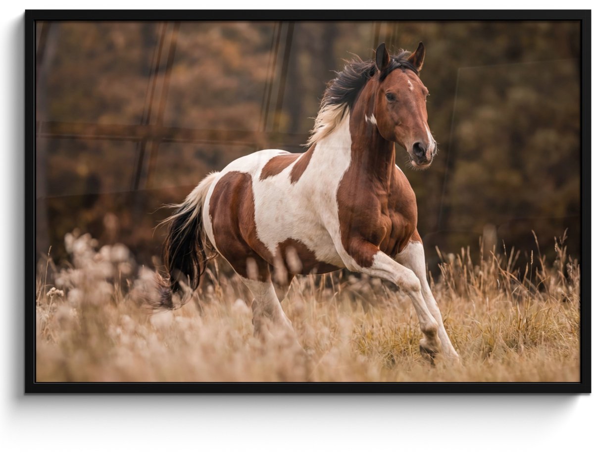 FrameYourWall Poster in lijst - Fotolijst 120x80 cm - Posters - Paard - Bruin - Gras - Posterlijst zwart - Decoratie - Wanddecoratie woonkamer - Muurdecoratie slaapkamer