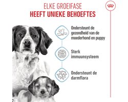 Royal Canin - Hondenvoer Droog Mother & Baby Medium Starter - 1 kg