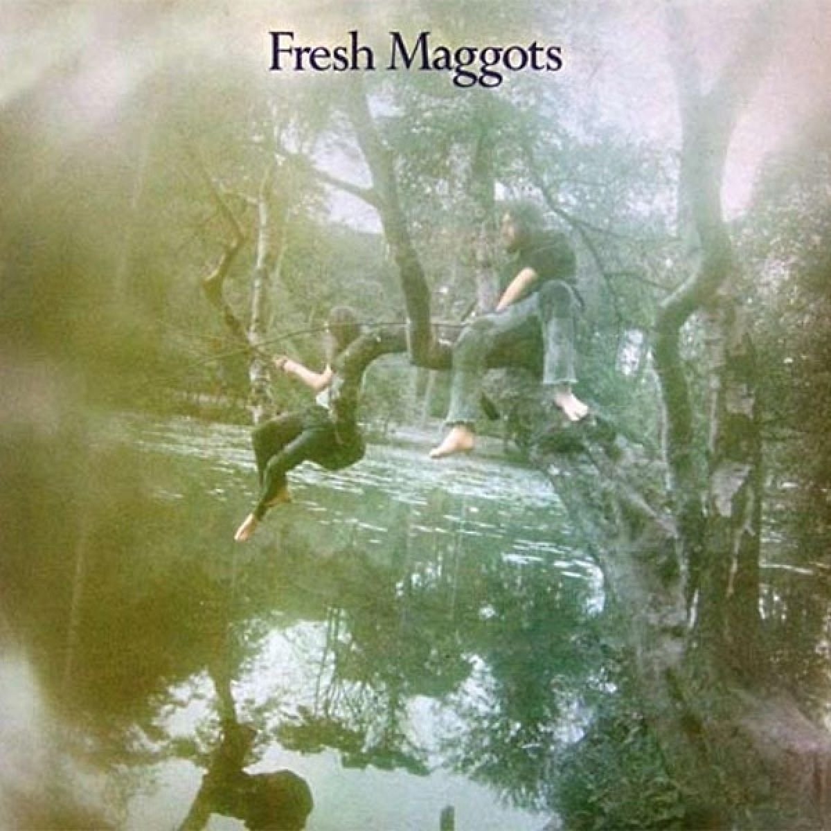 Fresh Maggots...Hatched