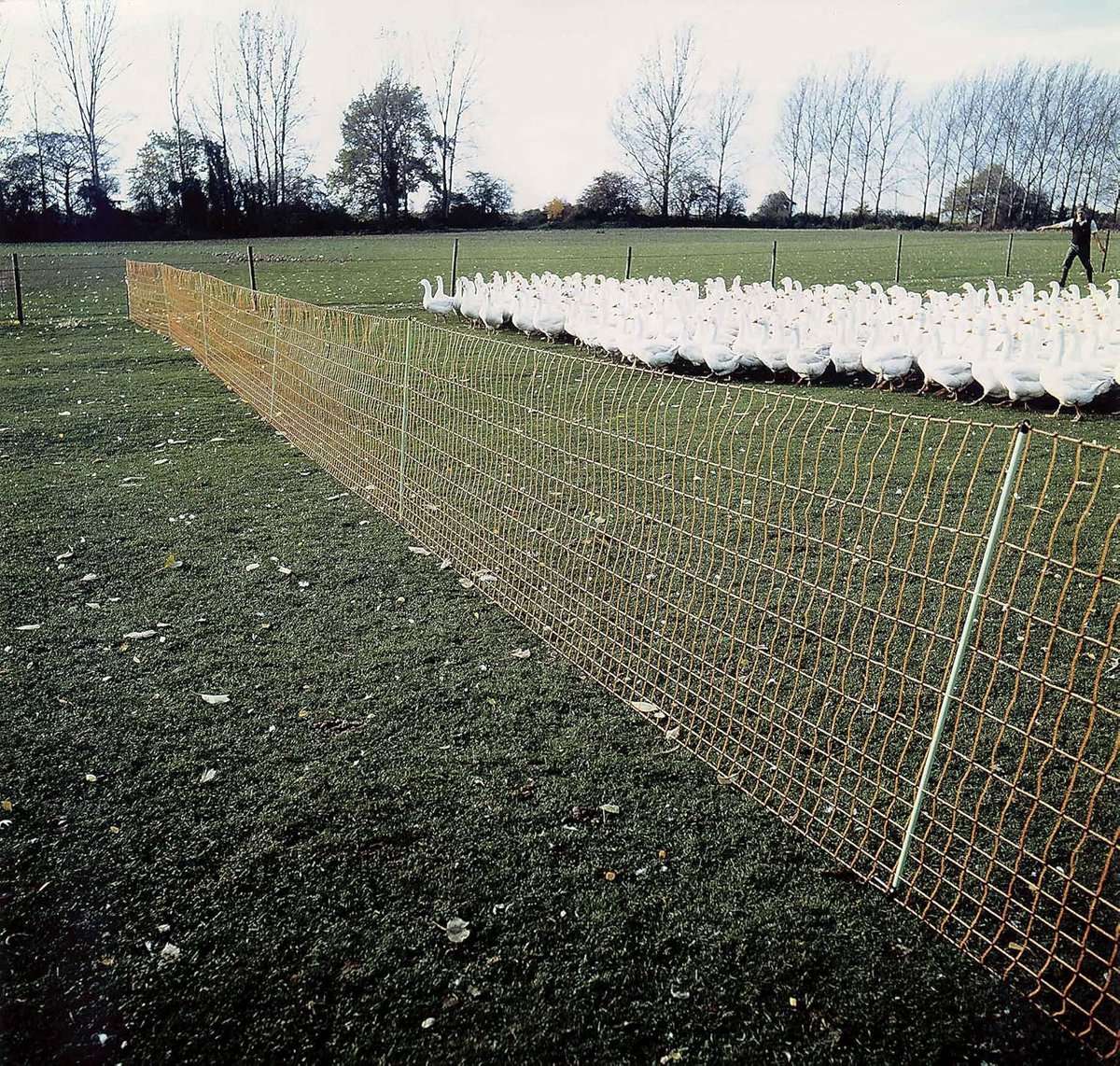 Gevogeltenet - Pluimveenet - Dierenverblijf - Dubbele punt palen - 50 meter - Groen