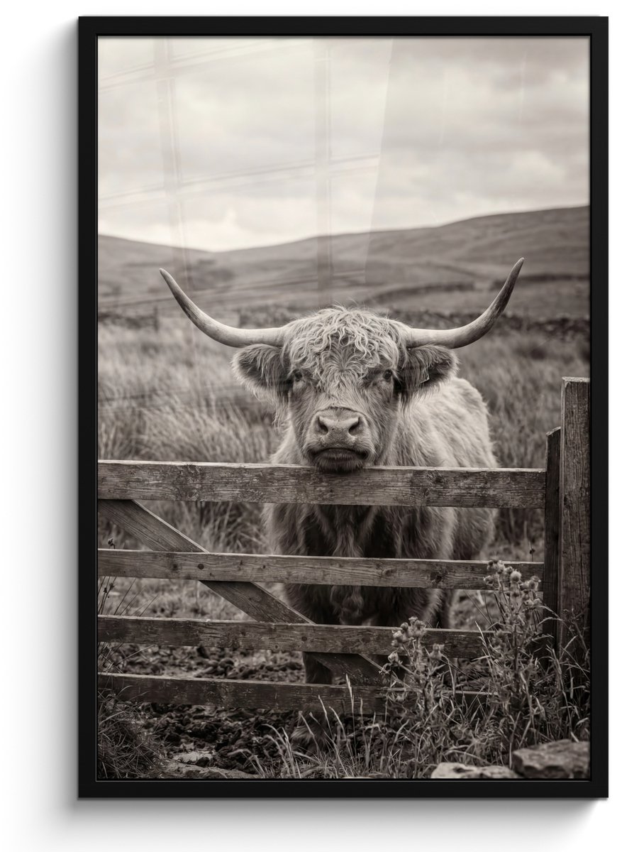 FrameYourWall Poster in lijst - Fotolijst 60x90 cm - Posters - Schotse hooglander - Zwart - Wit - Hout - Posterlijst zwart - Decoratie - Wanddecoratie woonkamer - Muurdecoratie slaapkamer