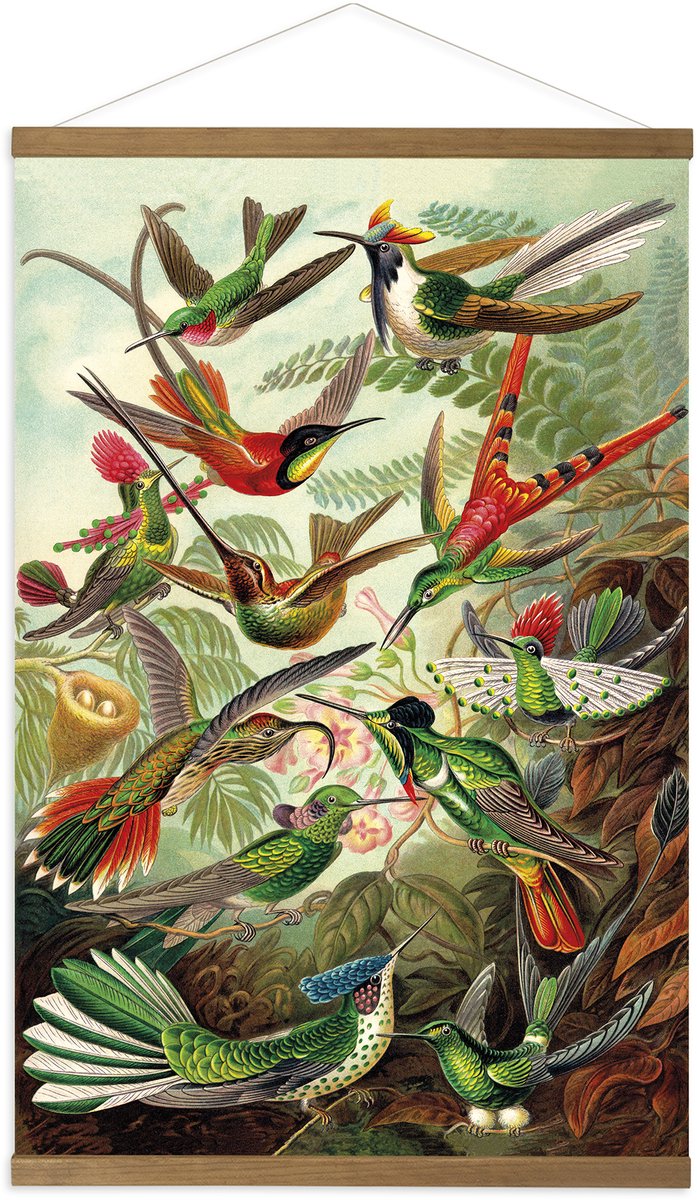 Art for the home Linnen Hanging Poster Hummingbirds 80x60cm
