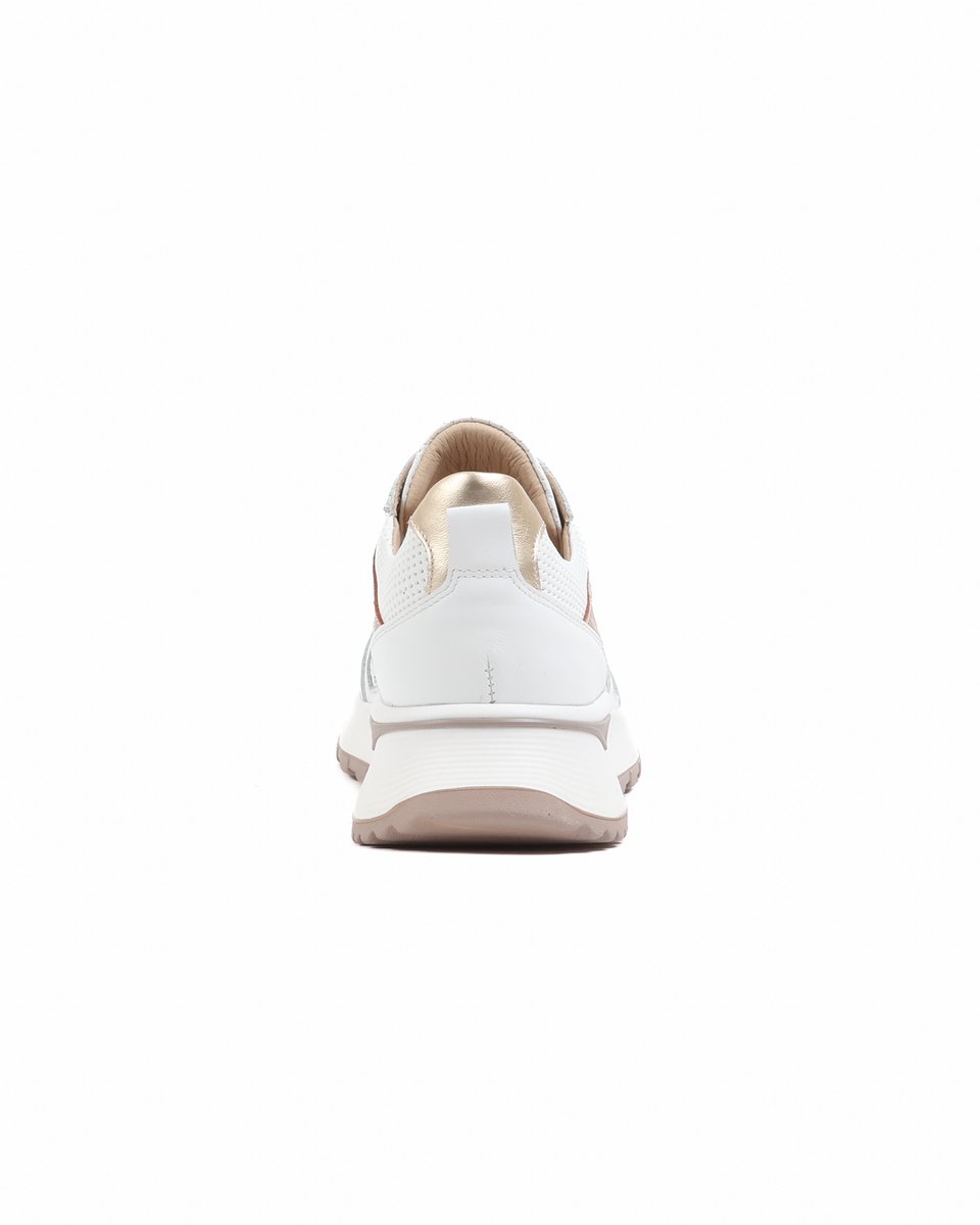 FOOTNOTES witmulti